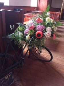 Poppies in old bike